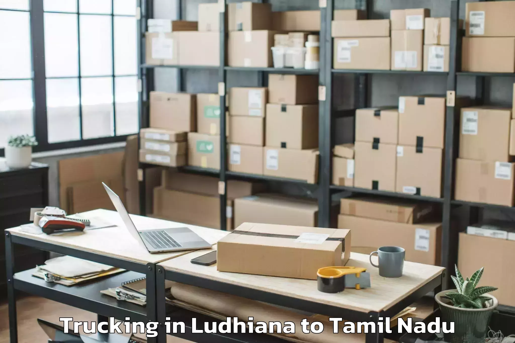 Hassle-Free Ludhiana to Manachanallur Trucking